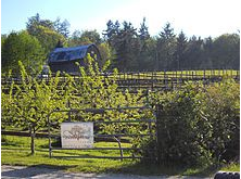 Vista D'oro winery in South Langley. Photo is of Vista D'oro sign, with small vines and a large barn in the background.